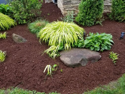 How and When to Mulch a Garden